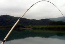 20斤的鱼都没断，为何只有3~5斤的鱼，起竿就会断节、爆竿