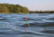 你为什么总是调不好漂，是不是忽略了饵料的重量