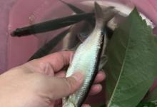 汇总四季变更对垂钓的影响