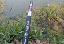 野钓、夜钓鲤鱼，注意这些细节就会有理想的鱼获。