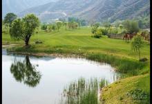 细谈“初春钓鲫鱼，人人都爆护”