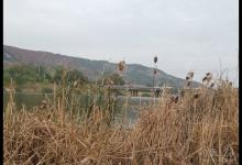 冬季钓技提升指导