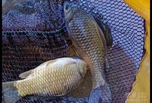 冬季钓鱼的三大技巧分享