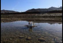 冬季作钓攻略技巧分享