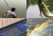 夏季野钓子线长短、粗细、钩距大小 你了解吗？