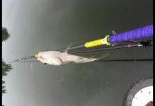 科不科学？正不正口？调漂灵魂所在！