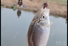 钓鱼人最最反感的5种行为，快来看看你有没有遇到过？