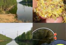 春夏之交野钓快速诱鱼留鱼的必杀绝招 抽窝钓！