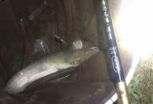 【518】又到了“扫黄打鲶”的好时节，你准备好了吗？