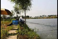 春季不同时段钓不同天气 爆护有啥难？