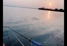 浅谈在自然水域中垂钓如何打窝效果更好。