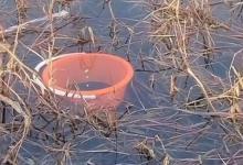 春钓鲫鱼不开口咋办？试一试这草洞迷魂撩逗大法