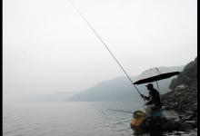 黑坑盘老板？钓鱼人VS库老板，到底谁才是鱼