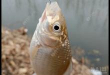 钓友分享冬季垂钓技巧