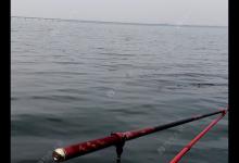 浅谈如何在自然水域中野钓鲢鳙鱼