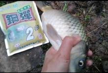 水底不平就这样调漂，出口清晰抓口快