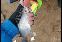 这五种钓具纯属鸡肋，钓友们谨慎购买