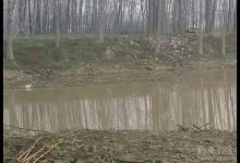 一看二听三地形，野沟垂钓轻松行