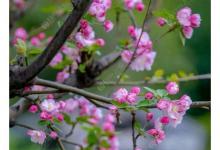 十几年的钓鱼经验总结，初学者看过来