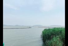 如何垂钓大个体翘嘴鱼？掌握以下几大要点想不爆护都难