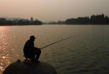 大师教你调四钓二都是骗人，根据鱼情去调漂，才是正道