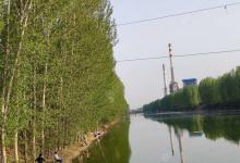 野钓鲢鱼找鱼层是关键