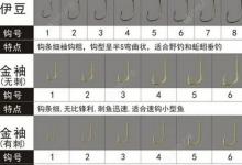 春钓鲫鱼对用袖钩的正确认识你知多少？