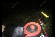 个人夜钓经验总结分享