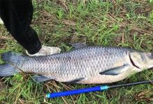 秋季钓鱼，钓位选择变化很大