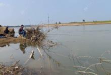 初夏野钓鲤鱼，影响鱼获的水温风向钓点和窝点选择