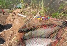 浅谈夏季博大物的小技巧