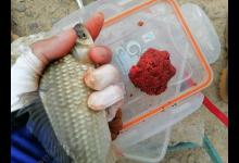 七星漂调漂技巧，这样调漂灵敏度高，照样上大鱼