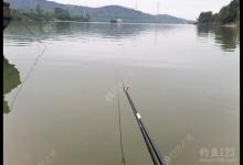 钓离底这么调漂，简单快捿实用，一看就会