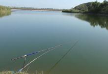 常见野钓对象鱼开口温度和活跃温度盘点，水温与气温关系详解