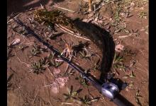 我不说你不会的3种钓黑鱼方法，我推荐第2种