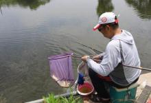 秋季退水后，不解决这个问题，一天都很难钓到鱼