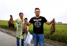 你要钓鱼盘老板？只用饵料可不行，大师：教你一个赚钱的秘诀