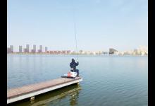 野钓鲫鲤用多大的钩？选钩不能一概而论