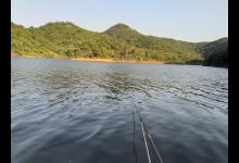 夏末野钓攻略分享，明确对象鱼，找准钓位