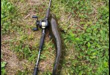 钓黑鱼的黄金季节要到了