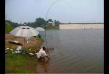 只要钓组能抛出去，不管风多大、浪多急，这两种钓法都能用