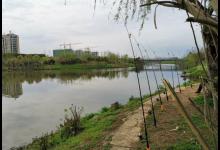 夏季野钓别老盯着深水！这几个地方也藏大鱼