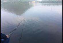 大水面低密度的黑坑如何钓鲤鱼？老钓友给你支2招