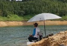 自从换用这钓法后，抛竿入水就有草鱼口