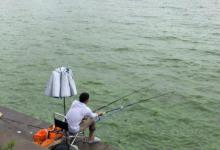 夏季降雨增多，河流涨水后该如何垂钓