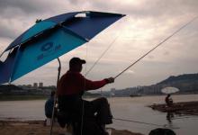 想用加粗尾的浮漂，又怕不灵敏，2招解决这个问题