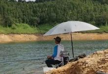 气温太高，别怪草鱼不咬钩，那是你没试过这几招