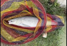 钓大鱼最实用的3种调漂方法，一看就能学会