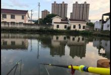 钓黑坑如何不亏钱？别做梦了，不空军才是你的目标