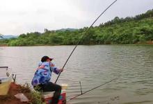 这钓法用上后，鳊鱼再大也难逃一劫